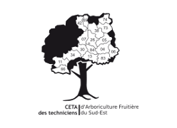 CETA des techniciens